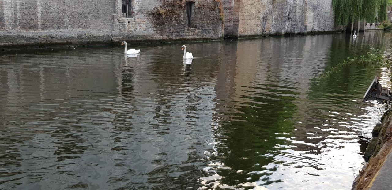 B&B Heart Of Bruges Luaran gambar
